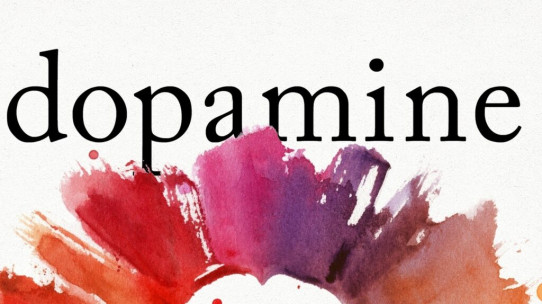 Dopamine Nation: Finding Balance in a World of Excess